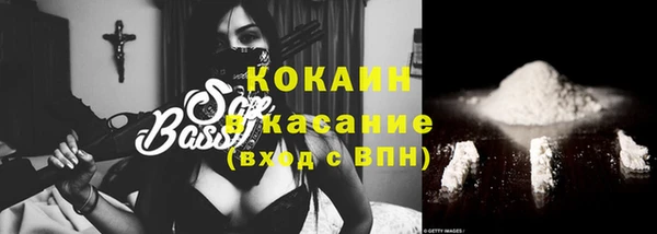 шишки Надым