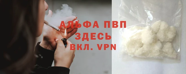 СК Гусь-Хрустальный