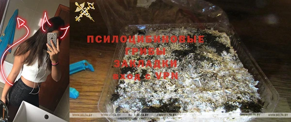 СК Гусь-Хрустальный