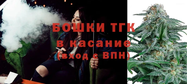 СК Гусь-Хрустальный
