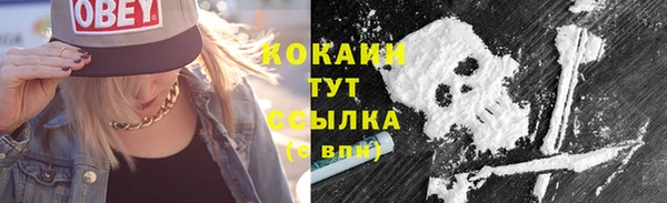 шишки Надым
