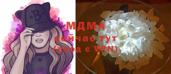 шишки Надым
