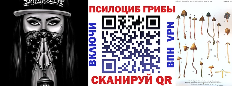 Галлюциногенные грибы мицелий  где купить наркоту  Дальнереченск 