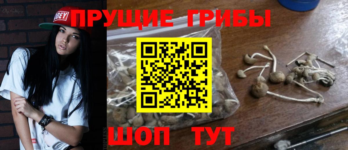 Галлюциногенные грибы MAGIC MUSHROOMS  Псилоцибиновые грибы прущие грибы  Дальнереченск 