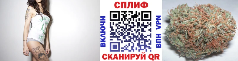 продажа наркотиков  Дальнереченск  МАРИХУАНА ГИДРОПОН 